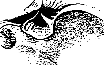 062/062270030300600_0.png
