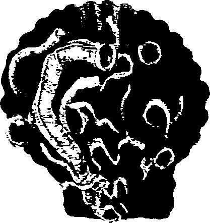 062/062270030300680_0.png