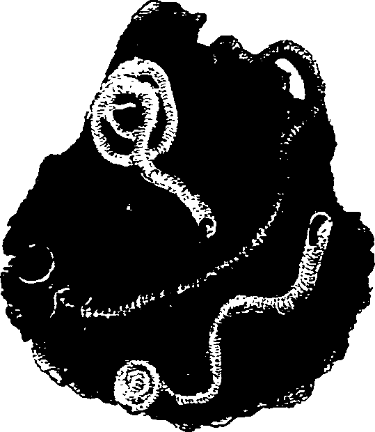062/062270030300680_1.png