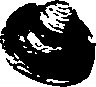 062/062270030300710_0.png