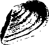 062/062270030300740_0.png