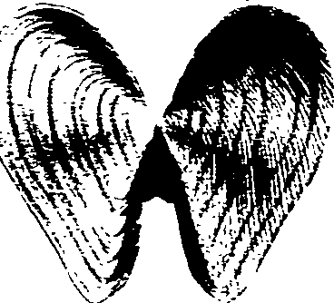 062/062270030300740_1.png