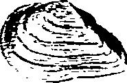 062/062270030300740_2.png