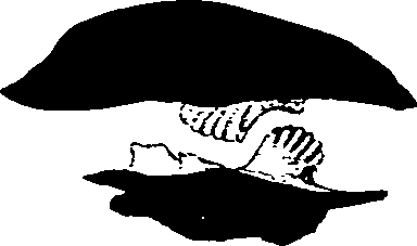 062/062270030300840_0.png