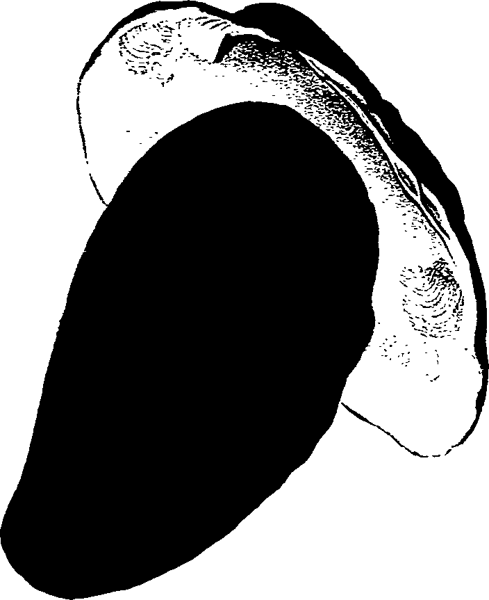 062/062270030300840_1.png