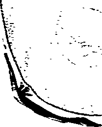 062/062270030300900_0.png