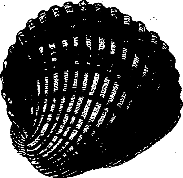 062/062270030301010_0.png
