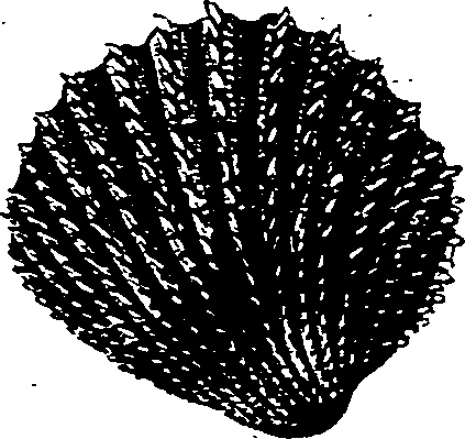 062/062270030301010_1.png