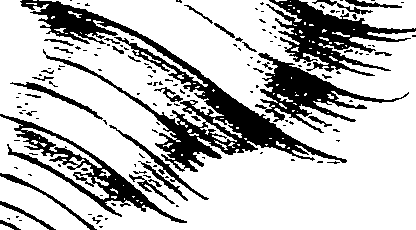 062/062270030400020_0.png