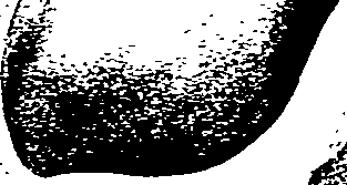062/062270030400020_1.png