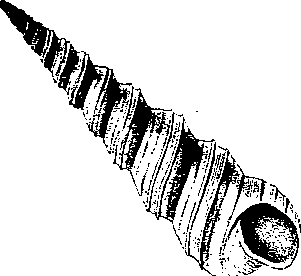 062/062270030400110_1.png