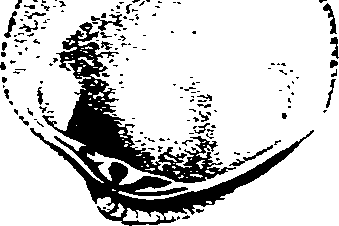 062/062270030400200_0.png