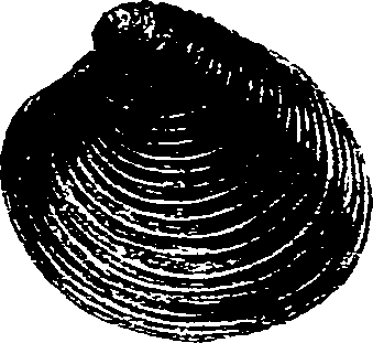062/062270030400200_1.png