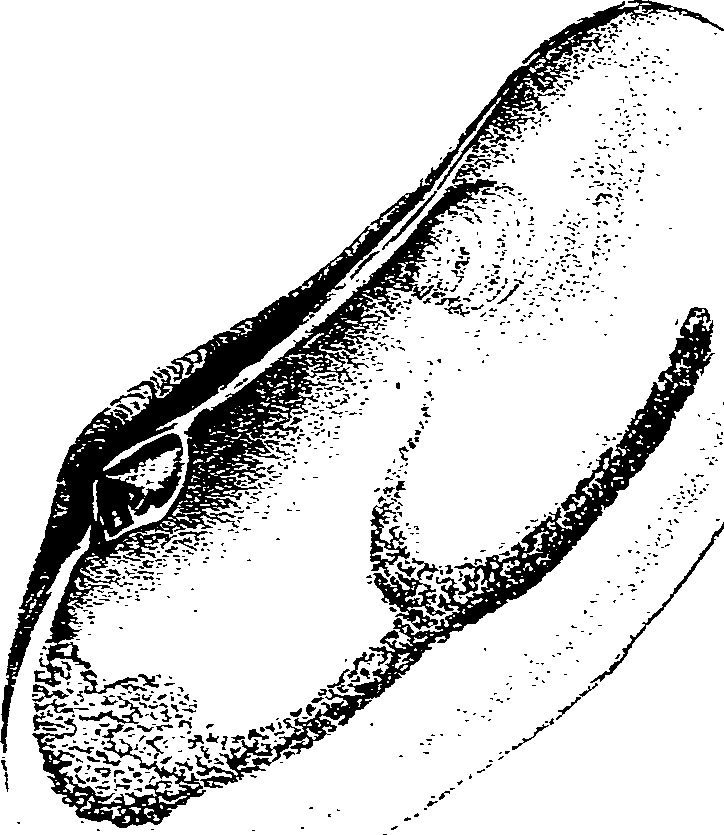 062/062270030400970_1.png