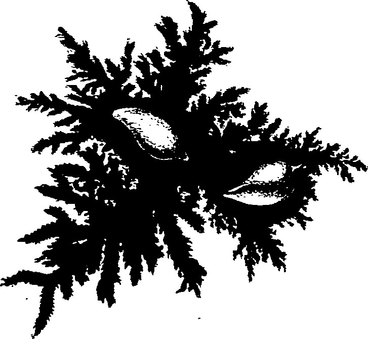 062/062270030401030_0.png