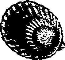 062/062270030500060_0.png