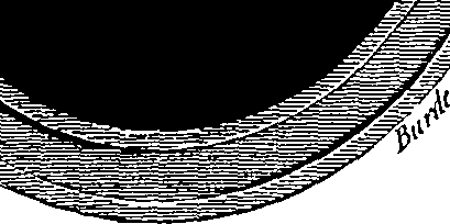 062/062330010101530_0.png