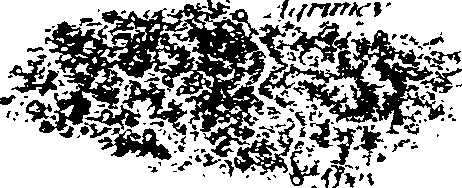 062/062340040000160_1.png