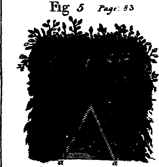 062/062340050000010_0.png