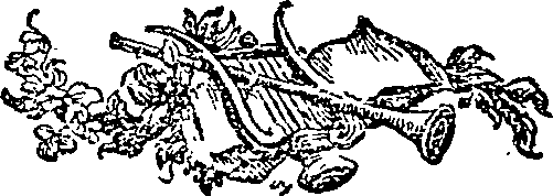 062/062420060000300_0.png