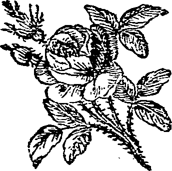 062/062420060000960_0.png