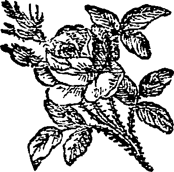 062/062420060001240_0.png