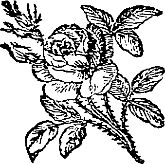 062/062420060001620_0.png
