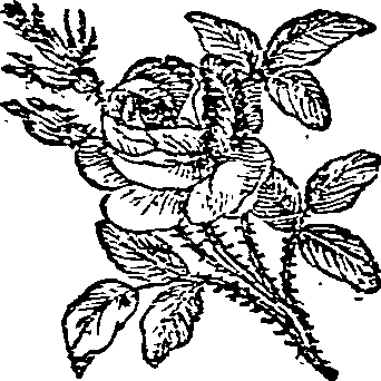 062/062420060001980_0.png