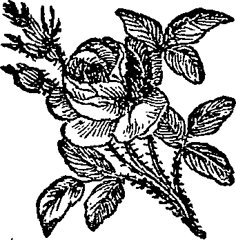 062/062420060002210_0.png