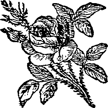 062/062420060002360_0.png