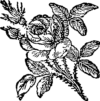 062/062420060002710_0.png