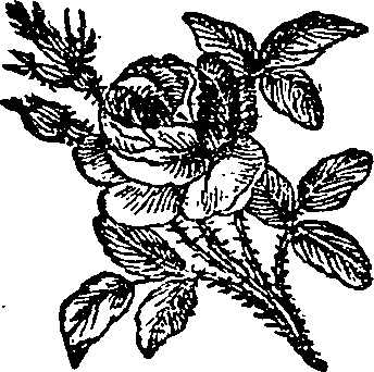 062/062420060002930_0.png