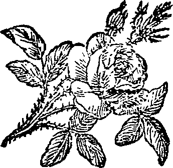 062/062420060003050_0.png