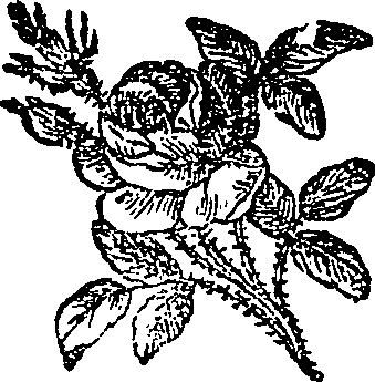 062/062420060003150_0.png