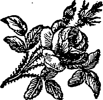 062/062420060003260_0.png
