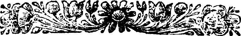 062/062450220001790_0.png