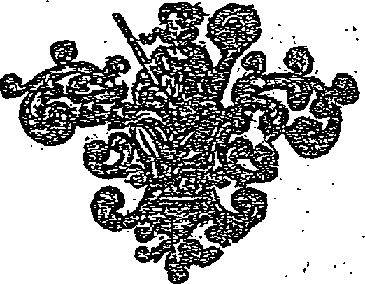 062/062450220003130_0.png