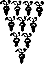 062/062500010100770_0.png