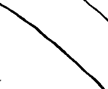 062/062520120200260_2.png