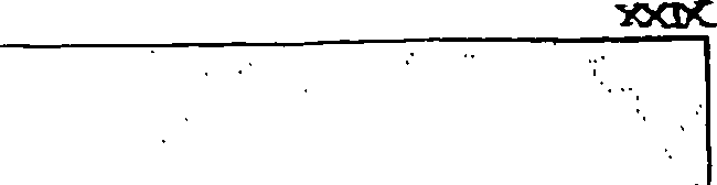 062/062540020200300_1.png