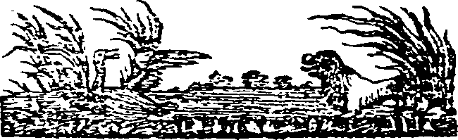 062/062550060000050_0.png