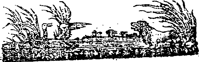 062/062550060000340_0.png
