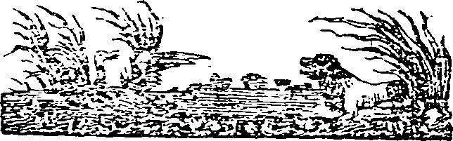 062/062550060000590_0.png
