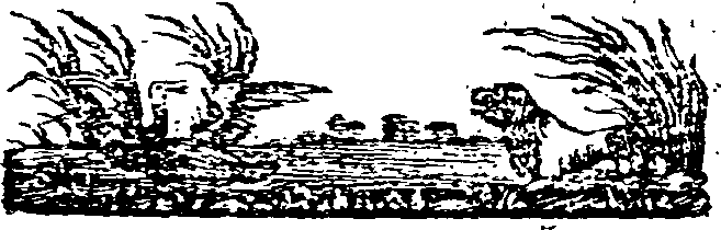 062/062550060000930_0.png