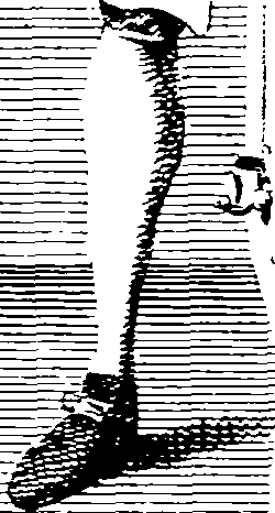 062/062570070000720_0.png