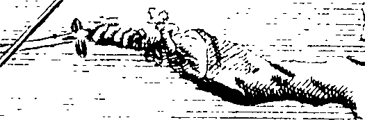 062/062570070000930_0.png
