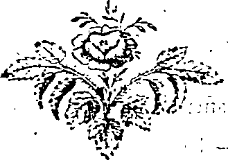 062/062580010800510_0.png