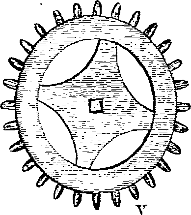 062/062600010003250_0.png