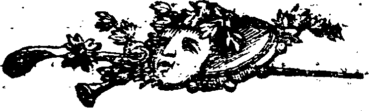 062/062830010000300_0.png