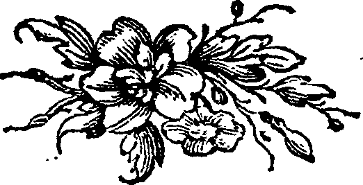 062/062830010000490_0.png